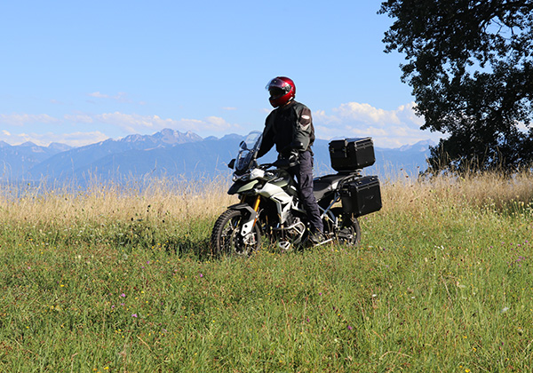 Mad Cows, Rolex Rippers, and the Patek Philippe Cycling Team