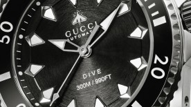 Gucci DIve © Gucci 