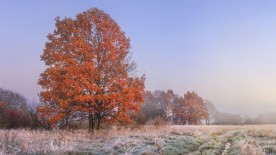 Autumn Landscape © VIVA