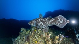 Unseen Expeditions ©Alexis Chappuis