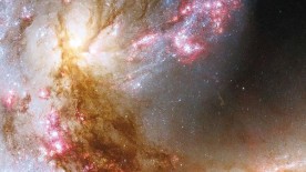 Cosmology on the wrist - Horology and Astronomy