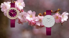 The cherry on the cake - Piaget