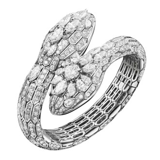 Serpenti Regal Festa 