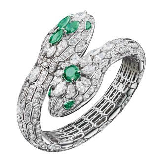 Serpenti Regal Festa