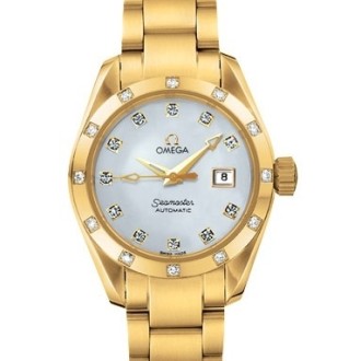 Aqua Terra Automatic