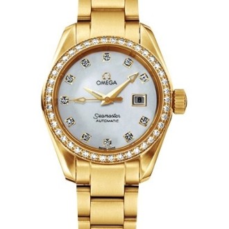 Aqua Terra Automatic