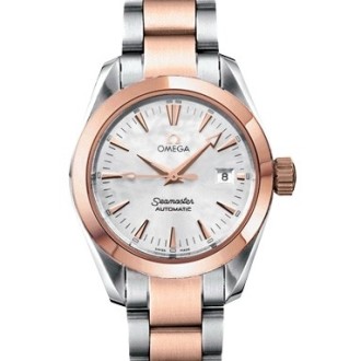 Aqua Terra Automatic