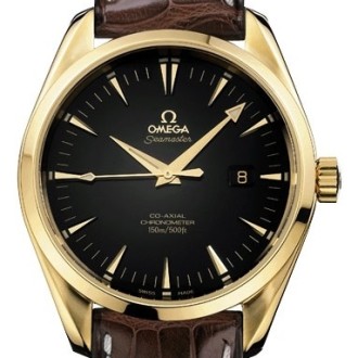 Aqua Terra Big−size Chronometer