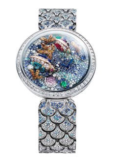 Divas' Dream Acquarium