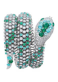 Serpenti Misteriosi Pallini