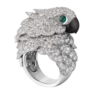 Montre Bague Perroquet