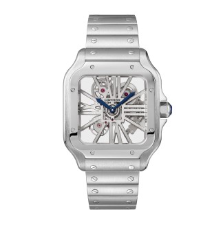 Santos De Cartier Skeleton