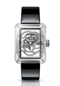 Camélia X-Ray