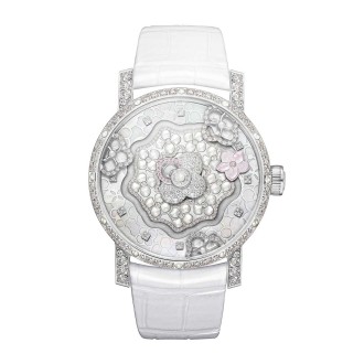 Hortensia Complication creative