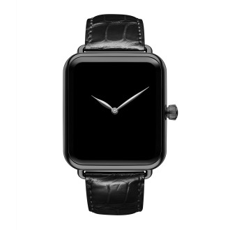 Swiss Alp Watch