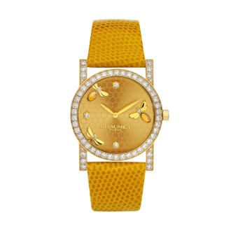 Precious watch