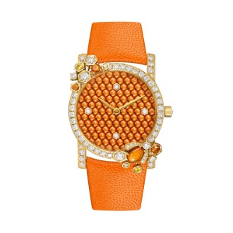 Precious watch
