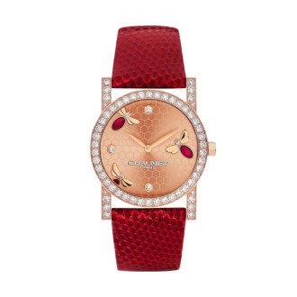 Precious watch