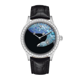 Midnight Constellation Aquila