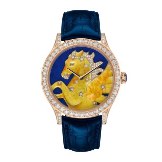 Midnight Constellation Pegasus