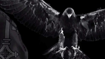 Video. The Poinçon de Genève - Roger Dubuis
