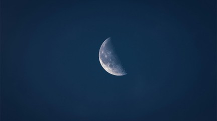 Lune ©  Jorge Gardner