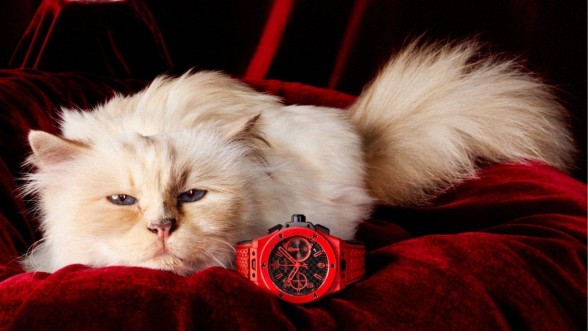 Choupette © Hublot