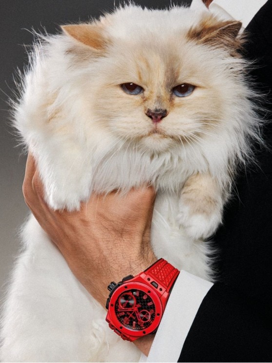 Choupette © Carlijn Jacobs / Hublot