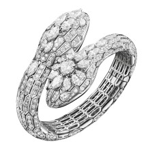 Serpenti Regal Festa 