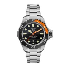 Professional 1000 Superdiver