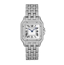 Panthère de Cartier Medium model