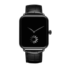 Swiss Alp Watch Final Upgrade