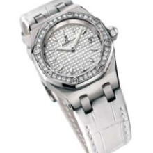 Lady Royal Oak