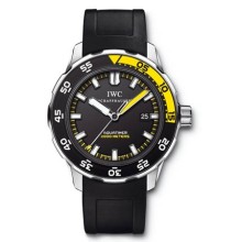 Aquatimer Automatic 2000