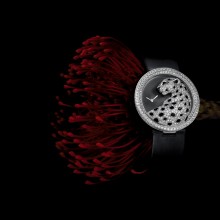 Panthère divine de Cartier watch